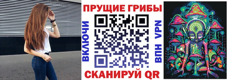 Псилоцибиновые грибы Psilocybine cubensis  Рыбинск 